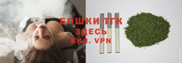 трава Арсеньев