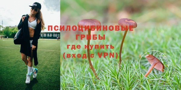 трава Арсеньев